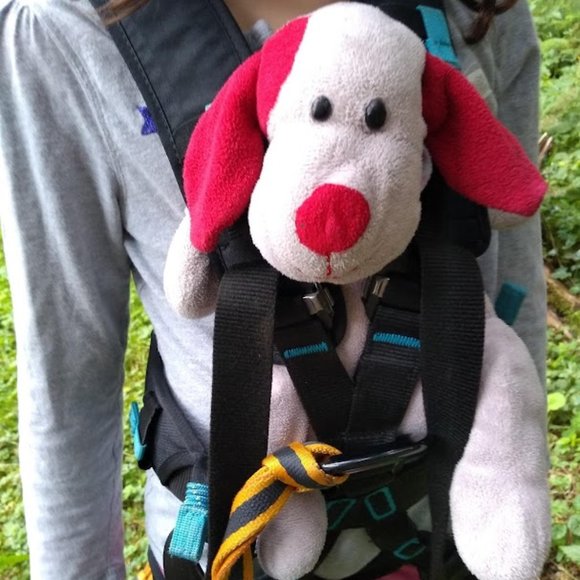 Other - STILL ISO Pink puppy stuffie with red ears *** NFS Do not buy